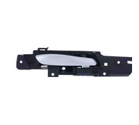 Maniglia Apriporta Interna Posteriore per Bmw X5 E70 2007-2013 Destra
