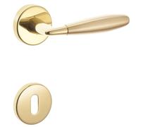 Maniglia bicolor modello undici con rosette e bocchette patent ottone Ottone lucido