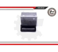 Maniglia Cofano/Sponda posteriore veicolo 16SKV236 ESEN SKV per VW GOLF PLUS V