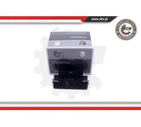 Maniglia Cofano/Sponda posteriore veicolo 16SKV284 ESEN SKV per CITROËN