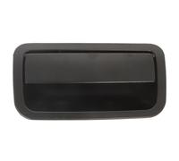 MANIGLIA COPERTURA BAGAGLIAIO 6010-01-056417P