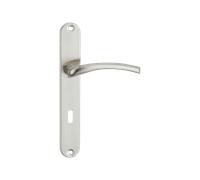 Maniglia della porta su una placca lunga, chiave, Agra Satin