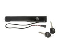 Maniglia della portiera BLIC 6010-01-008401P sinistro