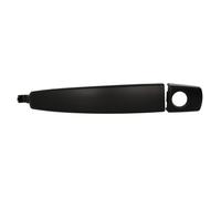 Maniglia della portiera BLIC 6010-04-042401P sinistro