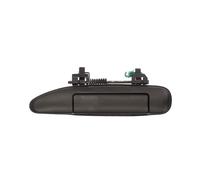 BLIC 6010-16-020401P Maniglia porta per NISSAN Patrol GR V SUV (Y61) Anteriore