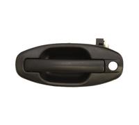 Maniglia della portiera BLIC 6010-20-021401P sinistra