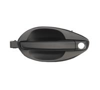 Maniglia della portiera BLIC 6010-20-040401P