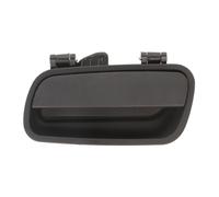 Maniglia della portiera BLIC 6010-21-015410WP