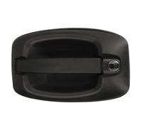 Maniglia della portiera BLIC 6010-30-003401P