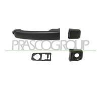 MANIGLIA PORTIERA LM606Q 806075963RPRIMED