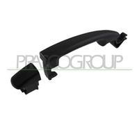 Maniglia Esterna Anteriore Destr posteriore Dx/sx Citroen C3 2009-2013 9101gh