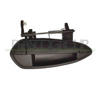 PRASCO FT3448013 Maniglia porta