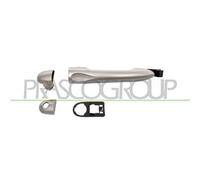 Maniglia Esterna Anteriore Dx/sinistra+posteriore Dx/sx Scenic (x-mod) 09/11