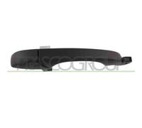PRASCO DG8158203 Maniglia porta