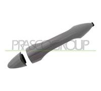 PRASCO HN8048003 Maniglia porta