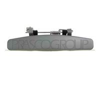 Maniglia Esterna Anteriore/posteriore Destra Dacia Sandero 2008/2012 Destro