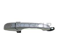 PRASCO DG8158205 Maniglia porta