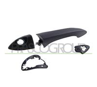 Maniglia Esterna Anteriore Sinistra Bmw X5 / E53 2000/2006 Lato Sx 51218243621
