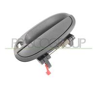 PRASCO DW3248002 Maniglia porta
