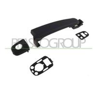 Maniglia Esterna Anteriore Sinistra Citroen C2 2003-2007 Lato Sinistro 9101w3