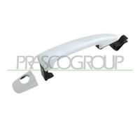 Maniglia Esterna Anteriore Sinistra Citroen C5 2008-2010 Lato Sinistro 9101hr