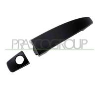 MANIGLIA PORTIERA LM331Q 13182411