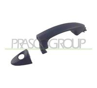 Maniglia Esterna Anteriore Sinistra Ford Fiesta Mk Vi 2008-2012 Sinistro 1757131