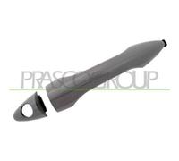 PRASCO HN8048004 Maniglia porta
