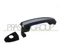 Maniglia Esterna Anteriore Sinistra Hyundai Santa Fe (cm) 2006-2009 Sinistro