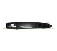 PRASCO DW7208004 Maniglia porta