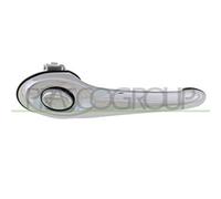 PRASCO DG4108006 Maniglia porta