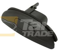 Maniglia Esterna Del Portellone Per Renault Megane Scenic 96-98|Scenic 1999-2003
