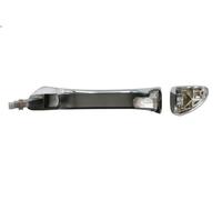 Maniglia esterna della porta BLIC 6010-02-034402P per W211) 3 2006-