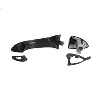 Maniglia esterna della porta BLIC 6010-05-014402P per BMW X5 (E53) 3 2001-2003