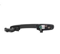Maniglia esterna della porta BLIC 6010-14-037402P per MAZDA 5 (CR) 1.8 2005-2010