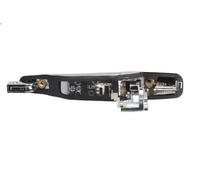 Maniglia esterna della porta BLIC 6010-15-038403PP per GRANDIS (NA_W) 2 2005-