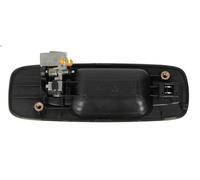 Maniglia esterna della porta BLIC 6010-16-029403P per X-TRAIL I (T30) 2.5 2002-