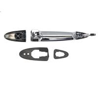 Maniglia esterna della porta BLIC 6010-23-012402P per YPSILON (843_) 1.2 2003-