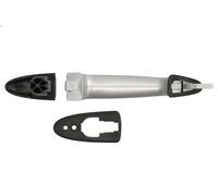 Maniglia esterna della porta BLIC 6010-23-012402PP per YPSILON (843_) 1.2 2003-