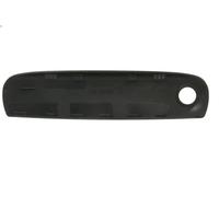 BLIC 6010-25-048402P Maniglia esterna sportello per AUDI
