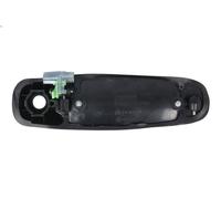 Maniglia esterna della porta BLIC 6010-55-007401P per DURANGO (HB) 4.7 2003-2009