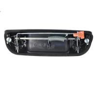 Maniglia esterna della porta BLIC 6010-55-007417P DURANGO (HB) 3.7 2003-201