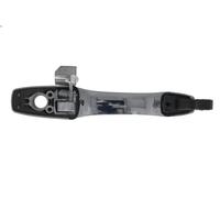 Maniglia esterna della porta BLIC 6010-55-015401P per DURANGO (WD) 3.6 2015-