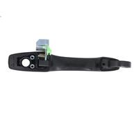 Maniglia esterna della porta BLIC 6010-55-015401PP per DURANGO (WD) 3.6 2015-