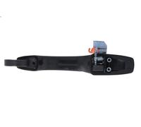 Maniglia esterna della porta BLIC 6010-55-015402PP per DURANGO (WD) 3.6 2015-