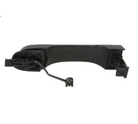 Maniglia esterna della porta BLIC 6010-55-020401PK per RENEGADE SUV 1.6 2014-