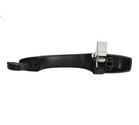 Maniglia esterna della porta BLIC 6010-58-011402P per 300C (LX) 3.6 2011-2023