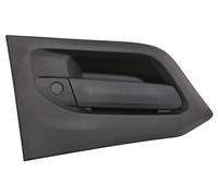 Maniglia esterna della porta COVIND SWY/192 per IVECO S-WAY 8.709 2019-