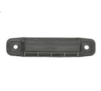 Maniglia esterna della porta HANS PRIES 620 032 per RAV 4 IV (_A4_) 2 2012-2018