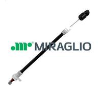 Maniglia esterna della porta MIRAGLIO 80/818 per BMW X5 (E53) 3 2000-2006